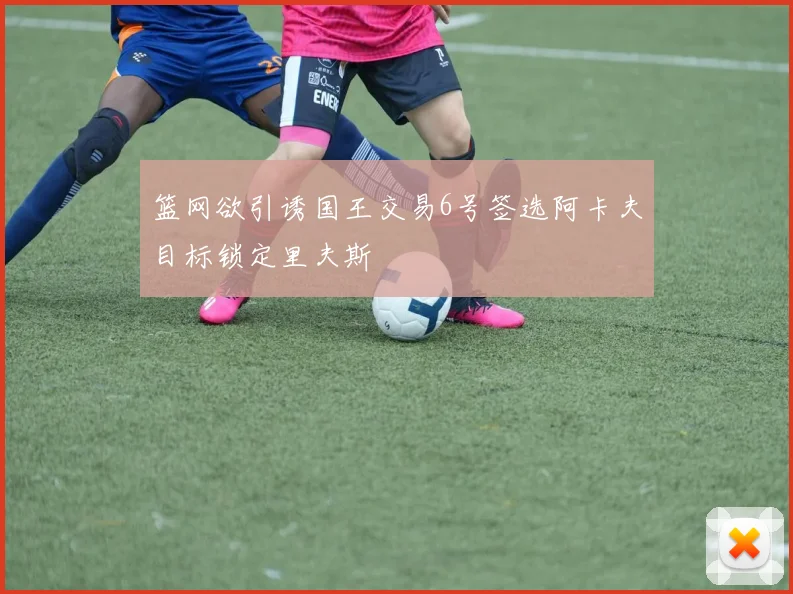 篮网欲引诱国王交易6号签选阿卡夫目标锁定里夫斯