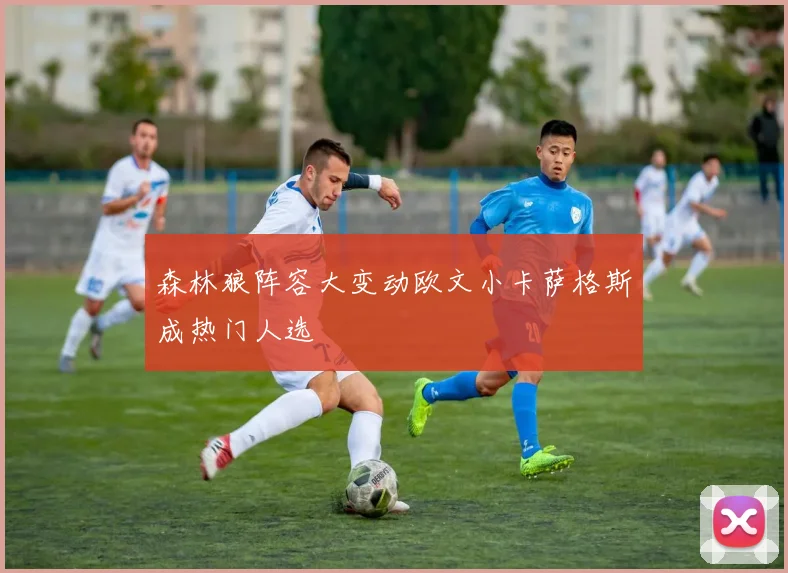 森林狼阵容大变动欧文小卡萨格斯成热门人选