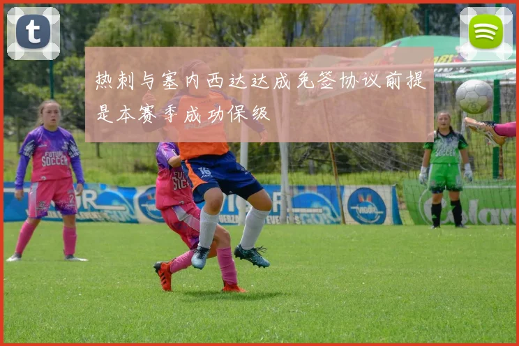 热刺与塞内西达达成免签协议前提是本赛季成功保级
