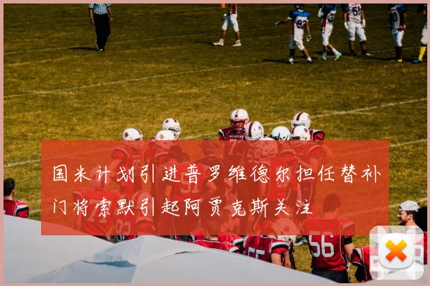国米计划引进普罗维德尔担任替补门将索默引起阿贾克斯关注